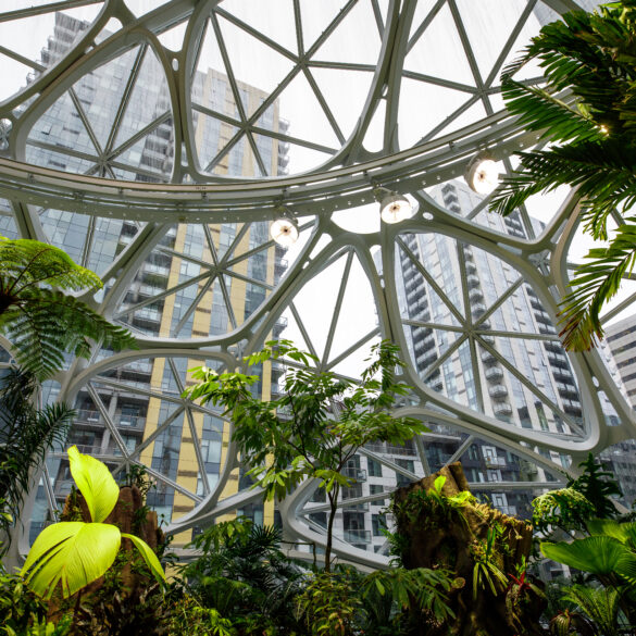 Picture taken from inside the Amazon Spheres HQ in Seattle