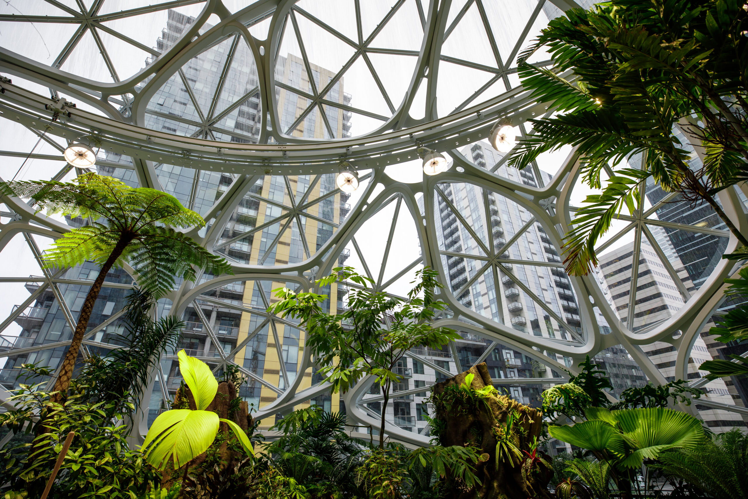 Picture taken from inside the Amazon Spheres HQ in Seattle